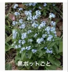 さくさく様 リクエスト 2点 まとめ商品