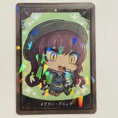 FGO Fate ミニ最終再臨サーヴァントコレクションカード メアリー アニング