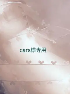 cars様専用