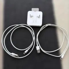 Apple EarPods & Lightningケーブルセット