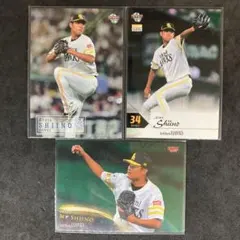 Item thumbnail for item 6a43250a-8a65-46c5-941f-a8416e6c603d