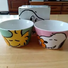 SNOOPY ボウル 2個セット*ミスドコラボ*USED