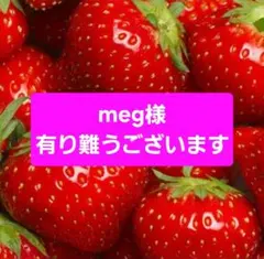 ☆未使用☆TREASURE TOPKAPI　トプカピ2way トートバッグ