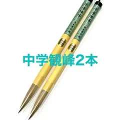 日本習字 中学観峰 2本