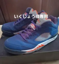 いくじょう様専用　大きいサイズ31cm エアジョーダン5