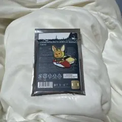 ファンチュン　ご当地　アクリルバッチ　有明