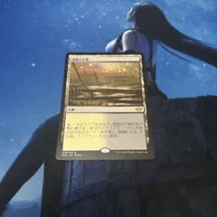 MTG 湿地の干潟 Marsh Flats