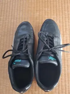 PumaメルセデスMAPMフューチャーカートキャット306584 28.5cmのサムネイル