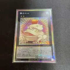 餅カエル プリズマ プリシク