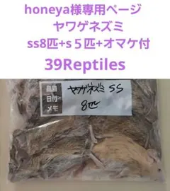 honeya様専用ページ　ヤワゲネズミss8匹+s５匹+オマケ付