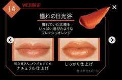 【新品未使用】リップモンスター　14 憧れの日光浴