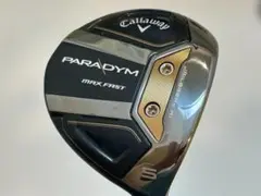 PARADYM MAX FAST 5W SRのサムネイル
