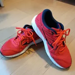 Item thumbnail for item b1a60dd3-317c-415d-af32-306752ddc983