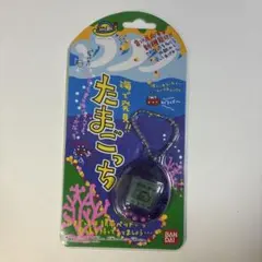 海で発見‼︎たまごっち 紫　BANDAI
