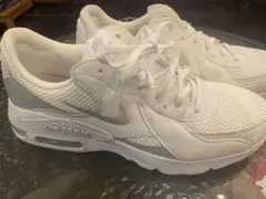 ナイキ エア マックス エクシー ホワイトシルバー 27cm