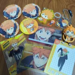 ハイキュー!!　日向翔陽セット