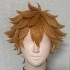 ハイキュー コスプレ ウィッグ 日向翔陽