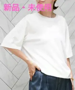 2026年最新】SHAPELY tシャツの人気アイテム - メルカリ