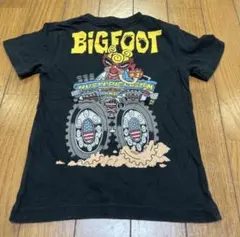 ヒスミニ　Tシャツ 100のサムネイル