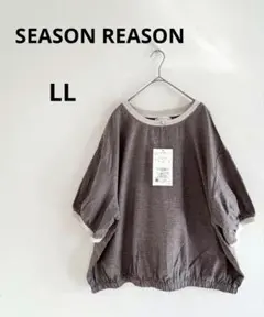 Item thumbnail for item 17081353-3a54-47b8-bb10-0a3025337417