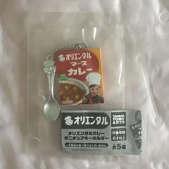 オリエンタルカレーのサムネイル