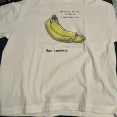 Healthknit Tシャツ Lサイズのサムネイル
