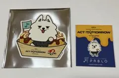 TXT ACT:TOMORROW 大阪　スビン