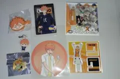 ハイキュー!! 　ファンパーク　東武動物園　コスモワールド　日向翔陽 　7点