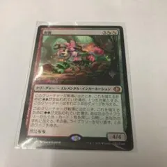 2026年最新】鮮麗の人気アイテム - メルカリ