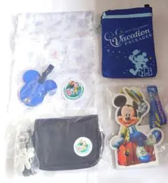 ディズニーランド 30周年 バケーションパッケージ グッズセット