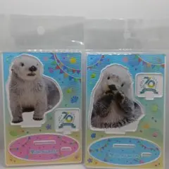 7月新商品 鳥羽水族館 キーホルダー 2個 ラッコ キラちゃん メイちゃん