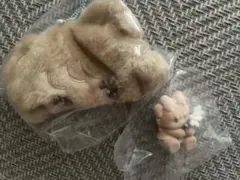 リルアラモード ラテセット