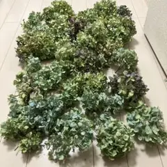 tomoたろー　プロフ必読様 リクエスト 2点 まとめ商品