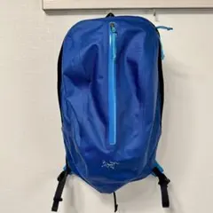 2025年最新】astri 19 アークテリクスの人気アイテム - メルカリ