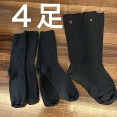 Item thumbnail for item b93bd263-3176-498f-8a30-48c88ba0a29d