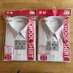 Item thumbnail for item e373c97f-f5b8-4c99-97dd-660e969491a0