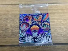 ワンピース　ウエハース13