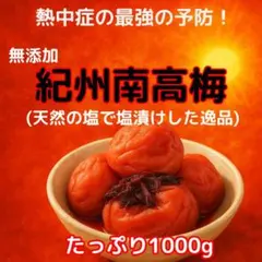 ▽農家直送！紀州南高梅 1000g 梅 無添加 和歌山 紀州 白梅 1109