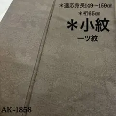 AK-1858 裄65 色無地 素敵な地模様 一つ紋 正絹　広衿　袷　着物