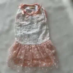 犬服　春のワンピース　薄いオレンジ