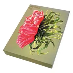 AMEFURASSHI / Flora 豪華版〈2枚組〉 アメフラッシ 2026年最新】AMEFURASSHi floraの人気アイテム - メルカリ