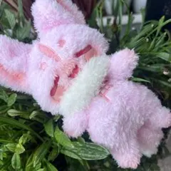 X*X様 ふくちゅげ幻獣 みえびしちゃん ぬいぐるみ ふくちゅげ幻獣 ご機嫌みかんさん ぬいぐるみ - メルカリ