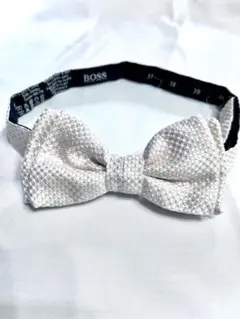 Item thumbnail for item 2b4cc64b-e3bc-4169-bc93-2906c2d3f069