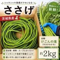 2026年最新】豇豆の人気アイテム - メルカリ