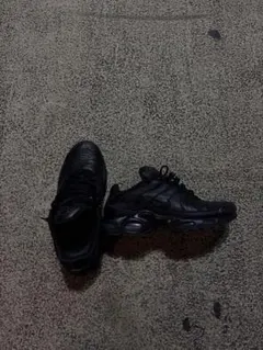 2026年最新】AIR max plus 26.5の人気アイテム - メルカリ