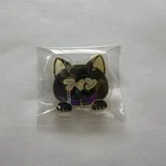 マッシュル　ナンジャタウン　ネームバッジ　フィン