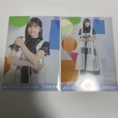 Item thumbnail for item 775b5156-343e-41b8-a30a-22528f7f6317