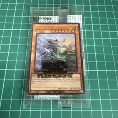 遊戯王 THE LADY'S PROTECTORS 日本選手権プロモ - メルカリ