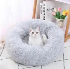 Item thumbnail for item e6002949-18ba-4c47-bee0-3e2e69c6f429