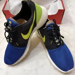 【限定/2013年製】NIKE ROSHERUN HYP PRM QS 29cm